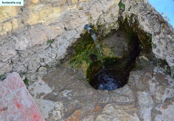 Fontanelle.org - Galleria immagini