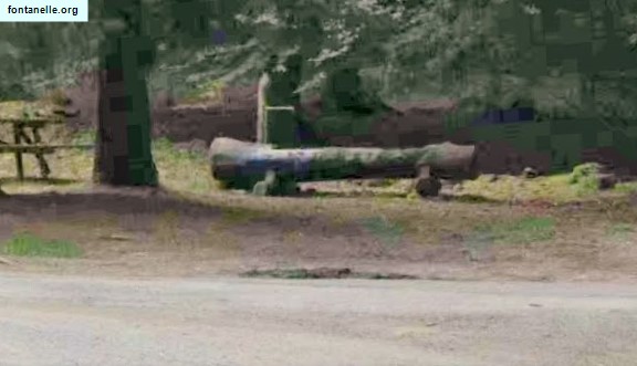 Fontanelle.org - Galleria immagini