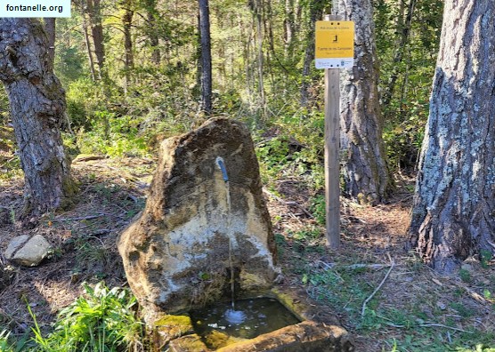 Fontanelle.org - Galleria immagini