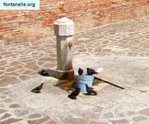 Fontanelle.org - Galleria immagini