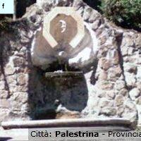 Fontanelle.org - Galleria immagini