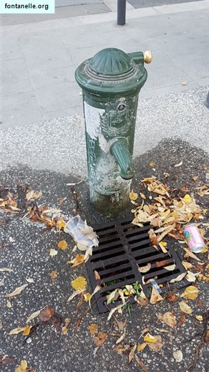 Fontanelle.org - Galleria immagini