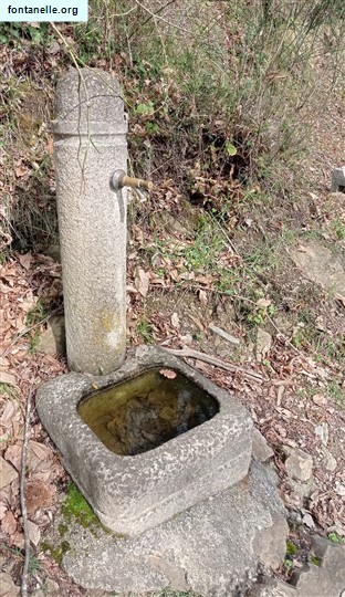 Fontanelle.org - Galleria immagini