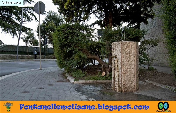 Fontanelle.org - Galleria immagini