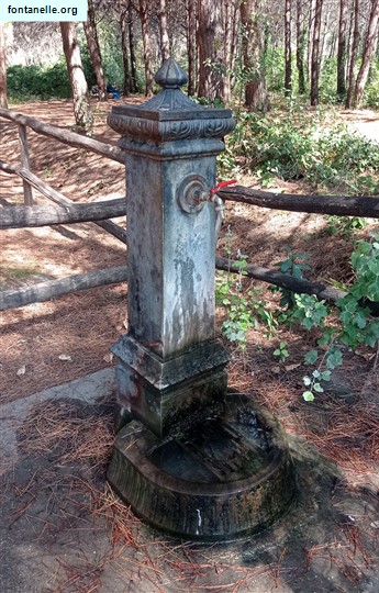 Fontanelle.org - Galleria immagini