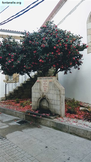 Fontanelle.org - Galleria immagini