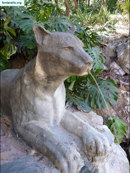 Fontanelle.org - Galleria immagini