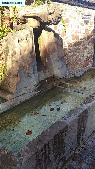 Fontanelle.org - Galleria immagini