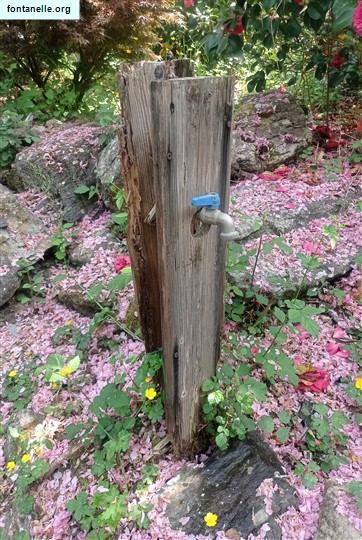 Fontanelle.org - Galleria immagini