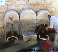 Fontanelle.org - Galleria immagini