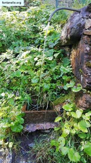 Fontanelle.org - Galleria immagini