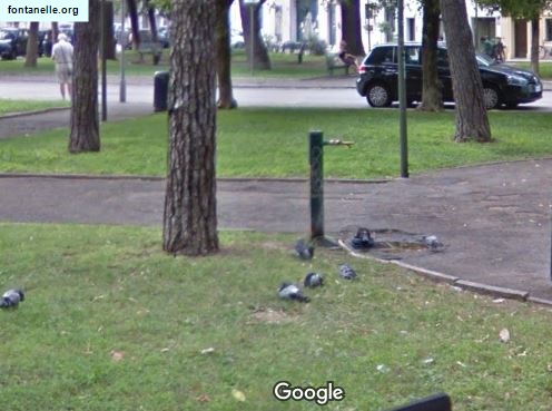 Fontanelle.org - Galleria immagini