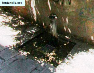 Fontanelle.org - Galleria immagini