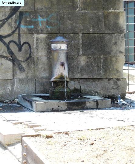 Fontanelle.org - Galleria immagini