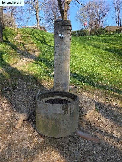 Fontanelle.org - Galleria immagini