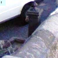 Fontanelle.org - Galleria immagini