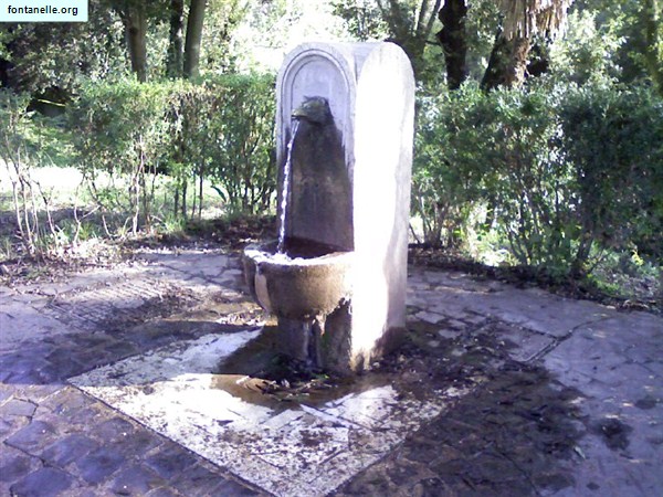 Fontanelle.org - Galleria immagini