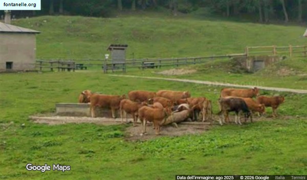 Fontanelle.org - Galleria immagini