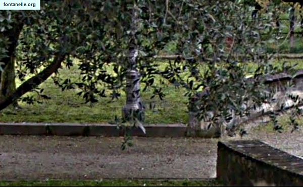 Fontanelle.org - Galleria immagini