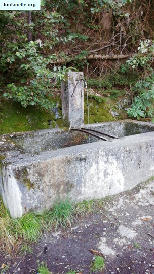 Fontanelle.org - Galleria immagini