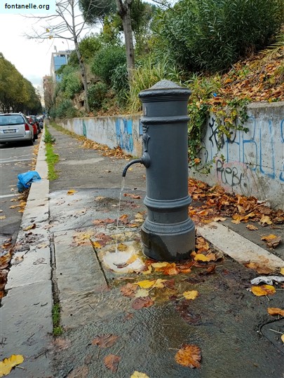 Fontanelle.org - Galleria immagini