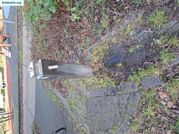 Fontanelle.org - Galleria immagini