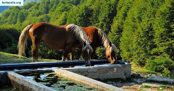 Fontanelle.org - Galleria immagini