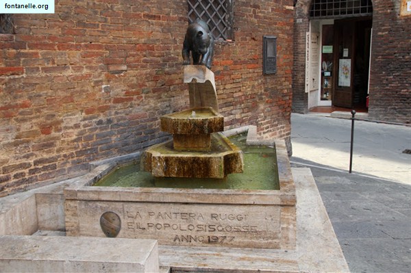Fontanelle.org - Galleria immagini