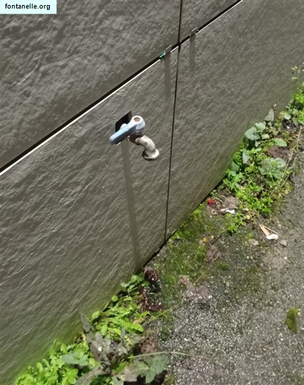 Fontanelle.org - Galleria immagini