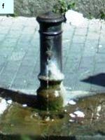 Fontanelle.org - Galleria immagini