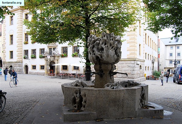 Fontanelle.org - Galleria immagini