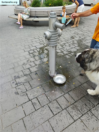 Fontanelle.org - Galleria immagini