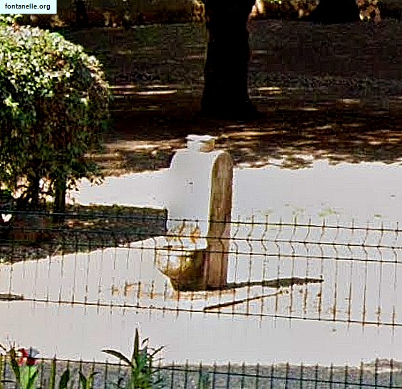 Fontanelle.org - Galleria immagini