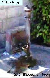Fontanelle.org - Galleria immagini