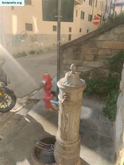 Fontanelle.org - Galleria immagini