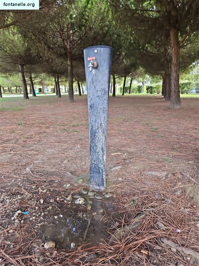 Fontanelle.org - Galleria immagini