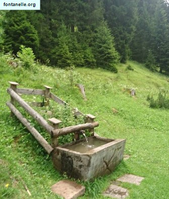 Fontanelle.org - Galleria immagini