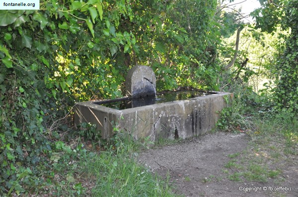 Fontanelle.org - Galleria immagini