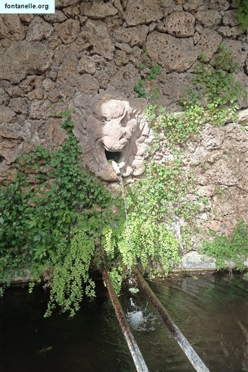 Fontanelle.org - Galleria immagini