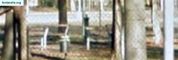 Fontanelle.org - Galleria immagini