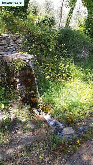 Fontanelle.org - Galleria immagini
