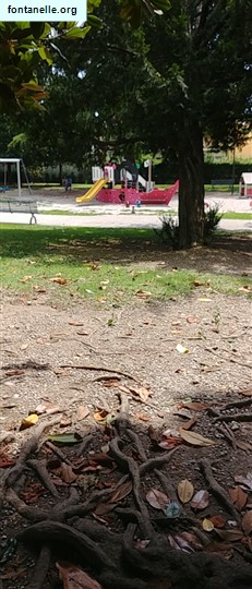 Fontanelle.org - Galleria immagini