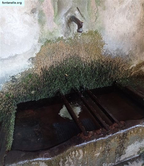 Fontanelle.org - Galleria immagini