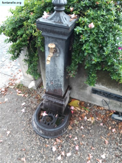 Fontanelle.org - Galleria immagini