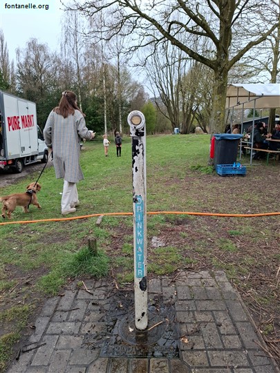 Fontanelle.org - Galleria immagini