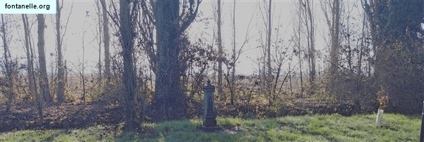Fontanelle.org - Galleria immagini