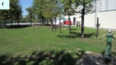 Fontanelle.org - Galleria immagini