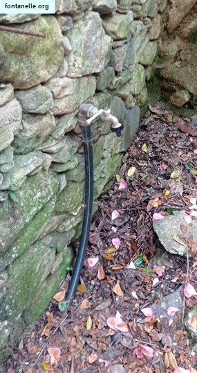 Fontanelle.org - Galleria immagini