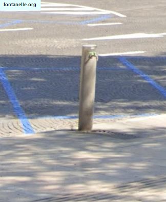 Fontanelle.org - Galleria immagini