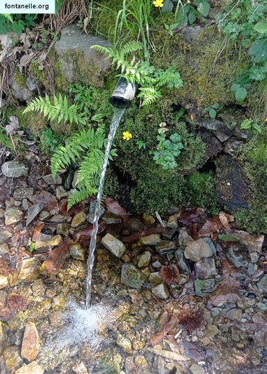 Fontanelle.org - Galleria immagini